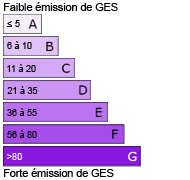 diagnostic ges